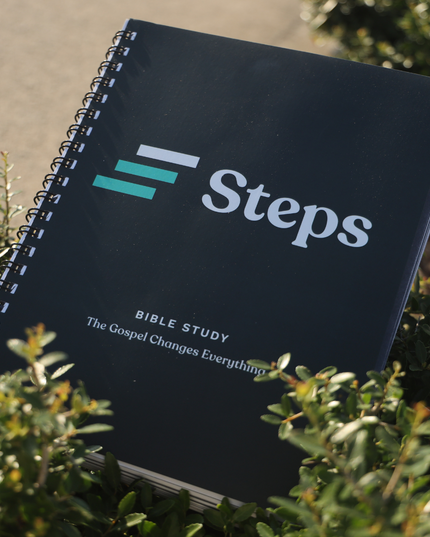 Steps: Mentee Guide- The Gospel Changes Everything