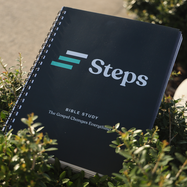 Steps: Mentee Guide- The Gospel Changes Everything