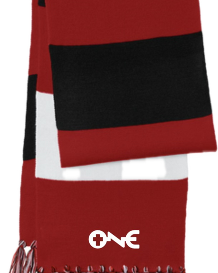 ONE Color Block Scarf