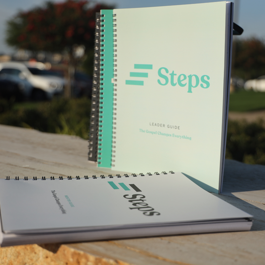 Steps: Mentor Guide- The Gospel Changes Everything