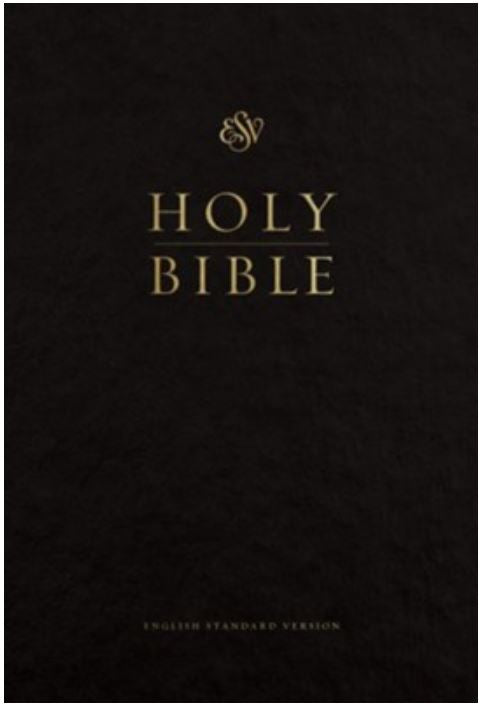 Holy Bible (English Standard Version) Large Print