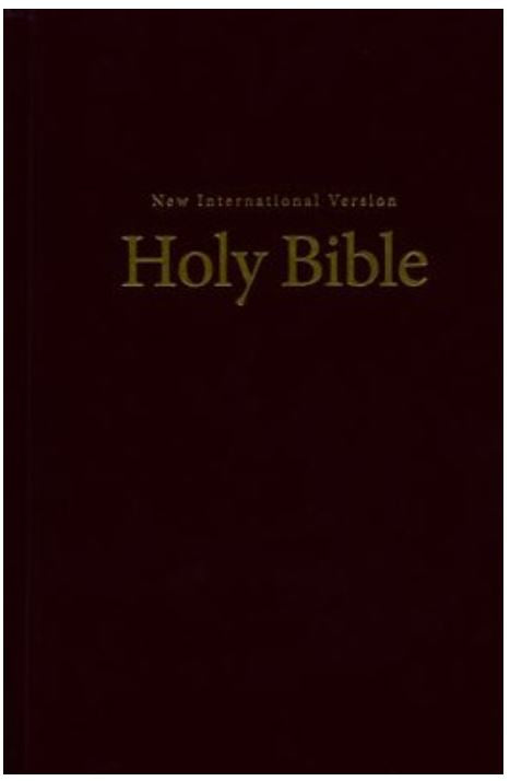 Holy Bible (New International Version) Large Print